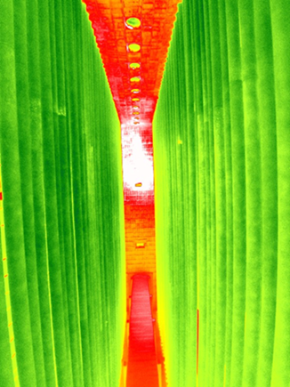 Inside the Furnace: What We Learned from Testing Air-Cooled Borescopes in the Real World