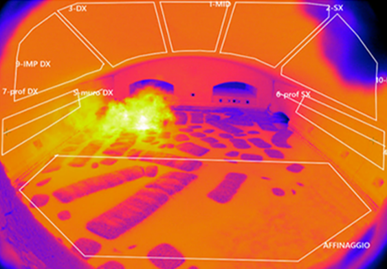 ImagePro Glass AI - Thermal Image