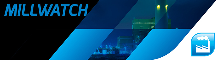 AMETEK Land Carbon Monoxide Detectors - Millwatch Carbon Monoxide Detector