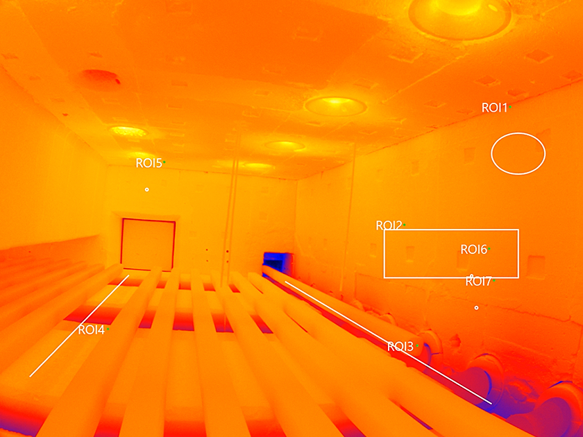 NIR-B-2K Thermal Image 