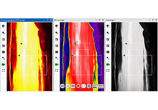 Multiple Live Views from a Single Camera